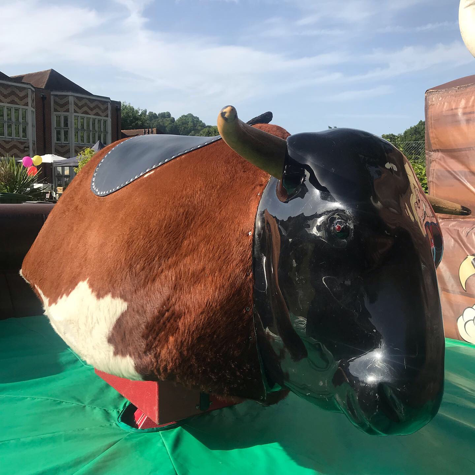 rodeo bull hire west sussex